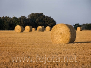 Nombre del archivo=060721_012.jpg
Tamaño del archivo=84Kb
Dimensiones=500x377
Fecha añadida=03 de Noviembre de 11 060721_012.jpg