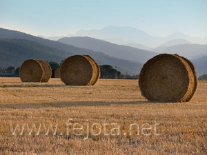 Nombre del archivo=060721_014.jpg
Tamaño del archivo=75Kb
Dimensiones=500x375
Fecha añadida=03 de Noviembre de 11 060721_014.jpg
