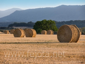 Nombre del archivo=060721_016.jpg
Tamaño del archivo=80Kb
Dimensiones=500x375
Fecha añadida=03 de Noviembre de 11 060721_016.jpg