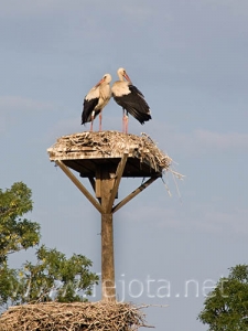 Nombre del archivo=060725_001.jpg
Tamaño del archivo=68Kb
Dimensiones=375x500
Fecha añadida=03 de Noviembre de 11 060725_001.jpg