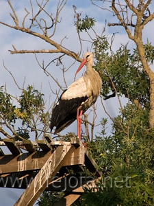 Nombre del archivo=060725_003.jpg
Tamaño del archivo=115Kb
Dimensiones=375x500
Fecha añadida=03 de Noviembre de 11 060725_003.jpg