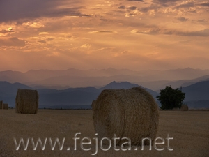 Nombre del archivo=060725_003~0.jpg
Tamaño del archivo=73Kb
Dimensiones=500x375
Fecha añadida=03 de Noviembre de 11 060725_003~0.jpg