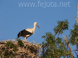 Nombre del archivo=060725_005.jpg
Tamaño del archivo=92Kb
Dimensiones=500x375
Fecha añadida=03 de Noviembre de 11 060725_005.jpg