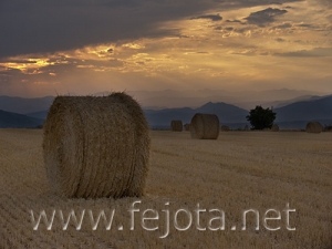 Nombre del archivo=060725_005~0.jpg
Tamaño del archivo=83Kb
Dimensiones=500x375
Fecha añadida=03 de Noviembre de 11 060725_005~0.jpg