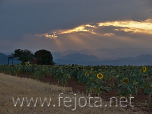Nombre del archivo=060725_007.jpg
Tamaño del archivo=85Kb
Dimensiones=500x375
Fecha añadida=03 de Noviembre de 11 060725_007.jpg