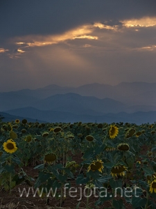 Nombre del archivo=060725_008.jpg
Tamaño del archivo=81Kb
Dimensiones=375x500
Fecha añadida=03 de Noviembre de 11 060725_008.jpg