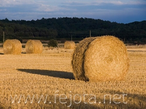 Nombre del archivo=060804_002.jpg
Tamaño del archivo=90Kb
Dimensiones=500x375
Fecha añadida=03 de Noviembre de 11 060804_002.jpg