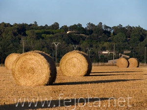 Nombre del archivo=060804_003.jpg
Tamaño del archivo=88Kb
Dimensiones=500x375
Fecha añadida=03 de Noviembre de 11 060804_003.jpg