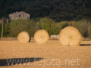 Nombre del archivo=060804_006.jpg
Tamaño del archivo=86Kb
Dimensiones=500x375
Fecha añadida=03 de Noviembre de 11 060804_006.jpg