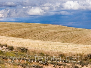 Nombre del archivo=060816_003.jpg
Tamaño del archivo=85Kb
Dimensiones=500x375
Fecha añadida=03 de Noviembre de 11 060816_003.jpg