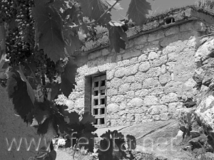 Nombre del archivo=060817_008.jpg
Tamaño del archivo=102Kb
Dimensiones=500x375
Fecha añadida=03 de Noviembre de 11 060817_008.jpg