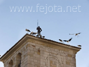 Nombre del archivo=060817_019.jpg
Tamaño del archivo=58Kb
Dimensiones=500x375
Fecha añadida=03 de Noviembre de 11 060817_019.jpg