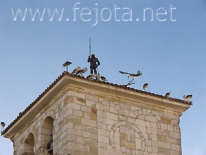 Nombre del archivo=060817_020.jpg
Tamaño del archivo=63Kb
Dimensiones=500x375
Fecha añadida=03 de Noviembre de 11 060817_020.jpg