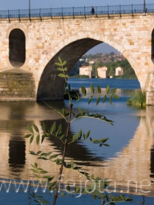 Nombre del archivo=060821_011.jpg
Tamaño del archivo=90Kb
Dimensiones=375x500
Fecha añadida=03 de Noviembre de 11 060821_011.jpg