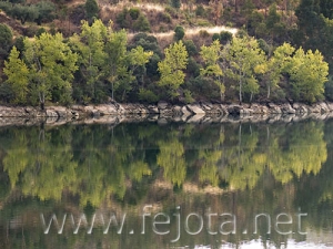 Nombre del archivo=060823_024.jpg
Tamaño del archivo=96Kb
Dimensiones=500x375
Fecha añadida=03 de Noviembre de 11 060823_024.jpg