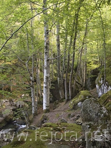 Nombre del archivo=060908_010.jpg
Tamaño del archivo=122Kb
Dimensiones=375x500
Fecha añadida=03 de Noviembre de 11 060908_010.jpg