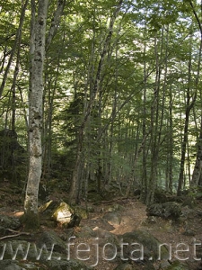 Nombre del archivo=060908_012.jpg
Tamaño del archivo=117Kb
Dimensiones=375x500
Fecha añadida=03 de Noviembre de 11 060908_012.jpg