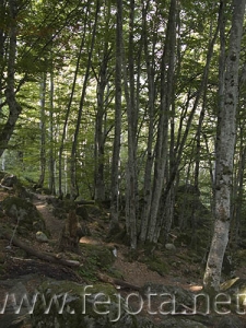 Nombre del archivo=060908_013.jpg
Tamaño del archivo=110Kb
Dimensiones=375x500
Fecha añadida=03 de Noviembre de 11 060908_013.jpg