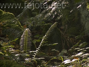 Nombre del archivo=060908_020.jpg
Tamaño del archivo=90Kb
Dimensiones=500x375
Fecha añadida=03 de Noviembre de 11 060908_020.jpg