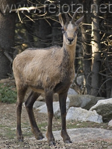 Nombre del archivo=060920_024.jpg
Tamaño del archivo=88Kb
Dimensiones=375x500
Fecha añadida=03 de Noviembre de 11 060920_024.jpg