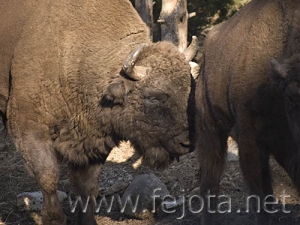 Nombre del archivo=060920_032.jpg
Tamaño del archivo=80Kb
Dimensiones=500x375
Fecha añadida=03 de Noviembre de 11 060920_032.jpg