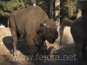 Nombre del archivo=060920_034.jpg
Tamaño del archivo=85Kb
Dimensiones=500x375
Fecha añadida=03 de Noviembre de 11 060920_034.jpg