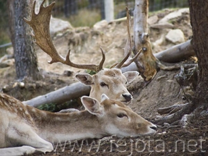 Nombre del archivo=060920_036.jpg
Tamaño del archivo=84Kb
Dimensiones=500x375
Fecha añadida=03 de Noviembre de 11 060920_036.jpg