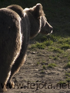 Nombre del archivo=060920_043.jpg
Tamaño del archivo=87Kb
Dimensiones=375x500
Fecha añadida=03 de Noviembre de 11 060920_043.jpg