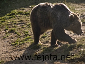 Nombre del archivo=060920_045.jpg
Tamaño del archivo=94Kb
Dimensiones=500x375
Fecha añadida=03 de Noviembre de 11 060920_045.jpg