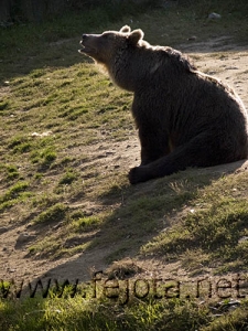 Nombre del archivo=060920_048.jpg
Tamaño del archivo=103Kb
Dimensiones=375x500
Fecha añadida=03 de Noviembre de 11 060920_048.jpg