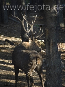 Nombre del archivo=060920_050.jpg
Tamaño del archivo=84Kb
Dimensiones=375x500
Fecha añadida=03 de Noviembre de 11 060920_050.jpg