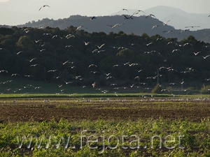 Nombre del archivo=060926_007.jpg
Tamaño del archivo=87Kb
Dimensiones=500x375
Fecha añadida=03 de Noviembre de 11 060926_007.jpg