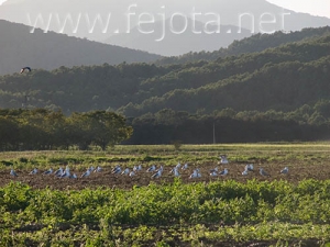 Nombre del archivo=060926_010.jpg
Tamaño del archivo=86Kb
Dimensiones=500x375
Fecha añadida=03 de Noviembre de 11 060926_010.jpg