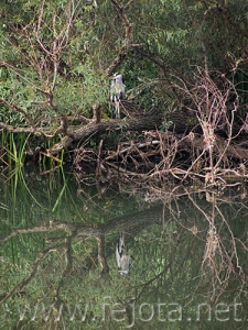 Nombre del archivo=060929_003.jpg
Tamaño del archivo=123Kb
Dimensiones=375x500
Fecha añadida=03 de Noviembre de 11 060929_003.jpg