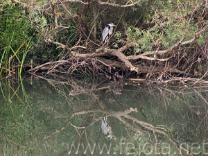 Nombre del archivo=060929_010.jpg
Tamaño del archivo=123Kb
Dimensiones=500x375
Fecha añadida=03 de Noviembre de 11 060929_010.jpg