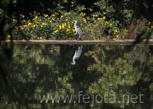 Nombre del archivo=060929_018.jpg
Tamaño del archivo=91Kb
Dimensiones=500x357
Fecha añadida=03 de Noviembre de 11 060929_018.jpg