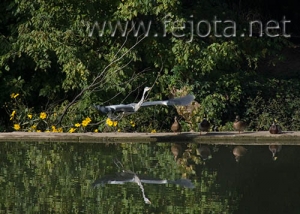 Nombre del archivo=060929_036.jpg
Tamaño del archivo=95Kb
Dimensiones=500x357
Fecha añadida=03 de Noviembre de 11 060929_036.jpg