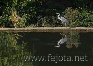 Nombre del archivo=060929_044.jpg
Tamaño del archivo=82Kb
Dimensiones=500x357
Fecha añadida=03 de Noviembre de 11 060929_044.jpg