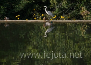 Nombre del archivo=060929_046.jpg
Tamaño del archivo=80Kb
Dimensiones=500x357
Fecha añadida=03 de Noviembre de 11 060929_046.jpg