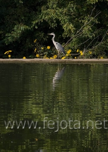 Nombre del archivo=060929_047.jpg
Tamaño del archivo=84Kb
Dimensiones=357x500
Fecha añadida=03 de Noviembre de 11 060929_047.jpg