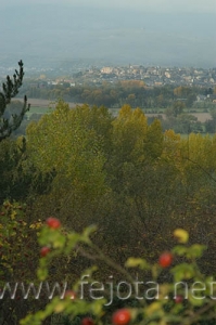 Nombre del archivo=061017_071.jpg
Tamaño del archivo=53Kb
Dimensiones=332x500
Fecha añadida=12 de Noviembre de 11 061017_071.jpg