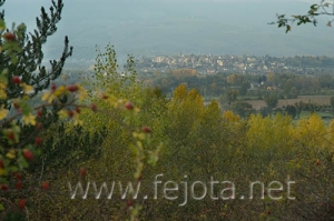 Nombre del archivo=061017_074.jpg
Tamaño del archivo=59Kb
Dimensiones=500x332
Fecha añadida=12 de Noviembre de 11 061017_074.jpg