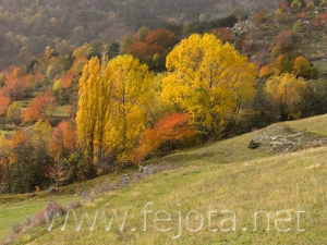 Nombre del archivo=061026_001.jpg
Tamaño del archivo=93Kb
Dimensiones=500x375
Fecha añadida=12 de Noviembre de 11 061026_001.jpg