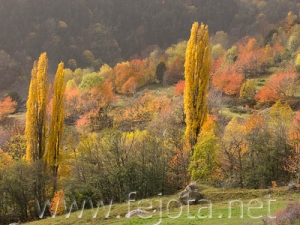 Nombre del archivo=061026_002.jpg
Tamaño del archivo=92Kb
Dimensiones=500x375
Fecha añadida=12 de Noviembre de 11 061026_002.jpg