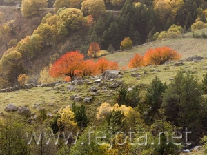 Nombre del archivo=061026_004.jpg
Tamaño del archivo=100Kb
Dimensiones=500x375
Fecha añadida=12 de Noviembre de 11 061026_004.jpg