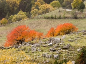 Nombre del archivo=061026_006.jpg
Tamaño del archivo=106Kb
Dimensiones=500x375
Fecha añadida=12 de Noviembre de 11 061026_006.jpg