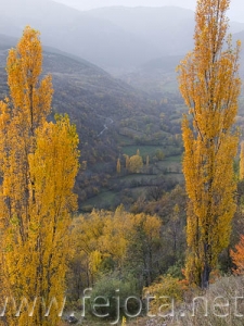 Nombre del archivo=061026_014.jpg
Tamaño del archivo=98Kb
Dimensiones=375x500
Fecha añadida=12 de Noviembre de 11 061026_014.jpg