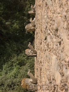 Nombre del archivo=061029_032.jpg
Tamaño del archivo=94Kb
Dimensiones=375x500
Fecha añadida=12 de Noviembre de 11 061029_032.jpg