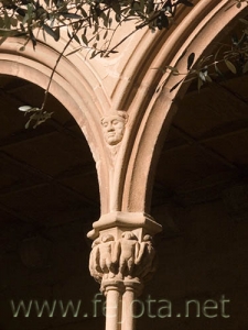 Nombre del archivo=061030_032.jpg
Tamaño del archivo=73Kb
Dimensiones=375x500
Fecha añadida=12 de Noviembre de 11 061030_032.jpg