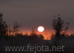 Nombre del archivo=061101_001.jpg
Tamaño del archivo=60Kb
Dimensiones=500x357
Fecha añadida=13 de Noviembre de 11 061101_001.jpg